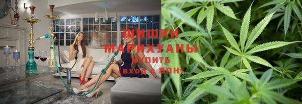 молекула духа Краснослободск