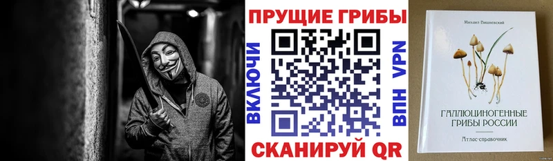Псилоцибиновые грибы мицелий  Купить закладки  Байкальск 